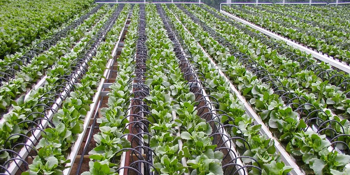 Mahindra EPC Irrigation Wins ₹117.9 Million Order, Enhancing Water-Friendly Agriculture