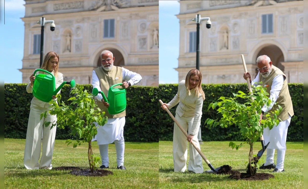Candy, Climate And Clicks: Parle Melody And ‘Krishna Toot’ Tree Go Viral After Modi–Meloni Moment