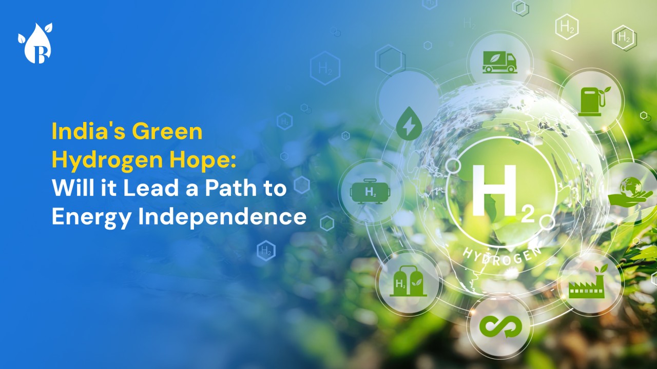 Biomass: India's Green Hydrogen Game-Changer