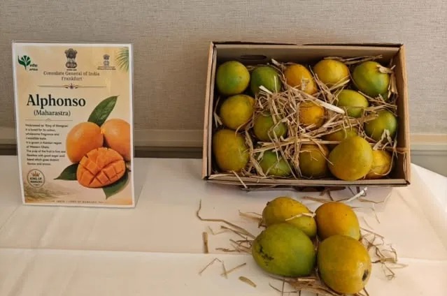 India Organises Grand Mango Festival in Frankfurt to Boost Exports