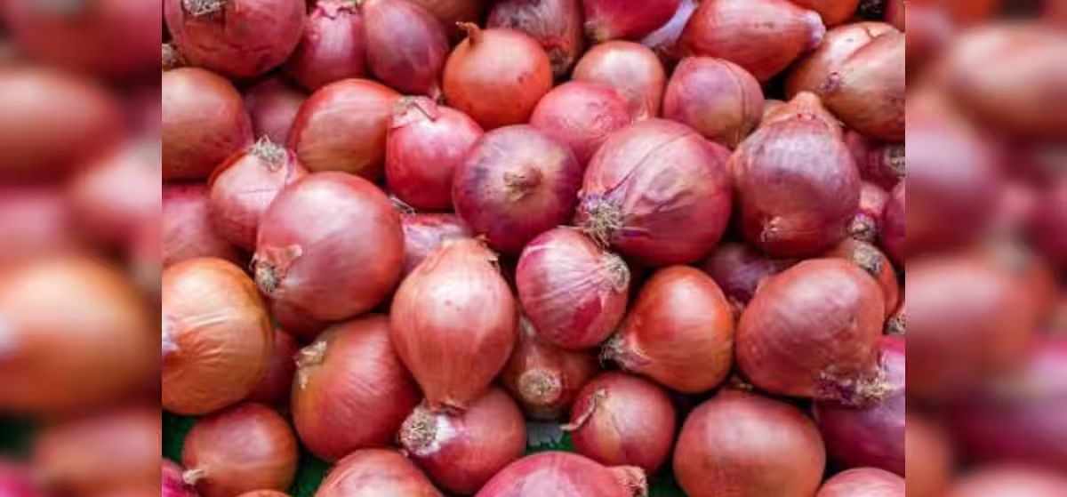 Will 4,000 Tonnes of Buffer Stock Finally Bring Down Rising Onion Prices?