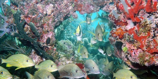 Making Waves: Kochi to Anchor the Fourth Global Marine Symposium