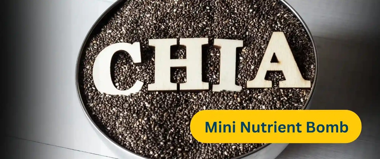 Unlocking Chia’s Secret: How These Tiny Seeds Fight Cholesterol and Hypertension