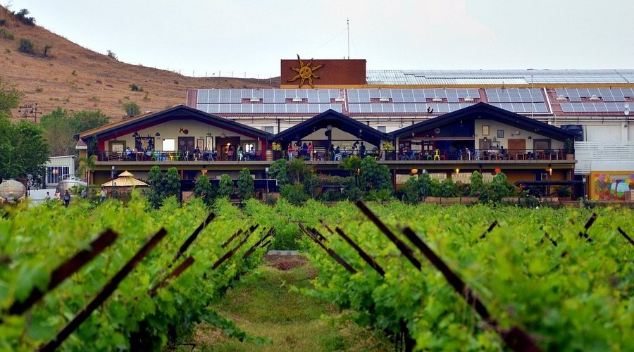Aged to Perfection: Nashik’s Wine Route Finds Its Moment