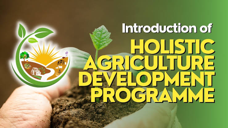 Boosting Farm Income: Why a Holistic Approach is the Need of the Hour