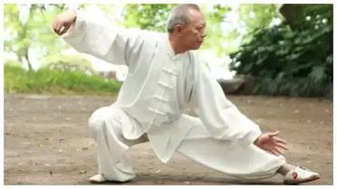 Tai-Chi Your Way to a Supercharged Body: Simple Moves for Kidney, Liver, Heart & Spleen Power