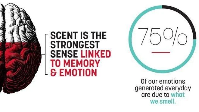 Scent-sational Science: Why Smells Trigger Deep Memories and Mood Swings