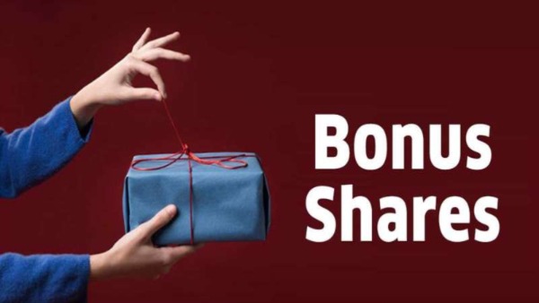 Bonus Alert: Sealmatic India Mulls Big Move to Reward Shareholders