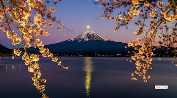 Japan’s 2026 Cherry Blossom Season: A Strategic Travel Guide for Indian Tourists