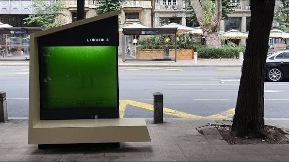 India Unveils SALT: A Novel 'Liquid Tree' to Combat Urban Pollution