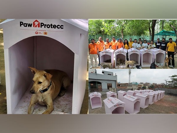 Mars Petcare and Swiggy Instamart Unite to Safeguard Community Dogs This Winter
