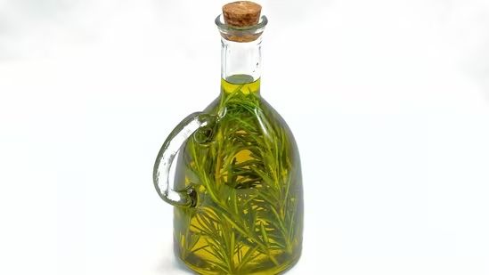 Rooted in Relief: Rosemary Oil Emerges as a Natural Remedy for Hair Fall and Dandruff
