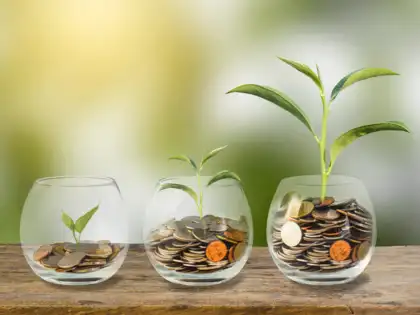 Sowing Seeds, Awaiting Growth: Green Bonds’ Fate in 3 Years