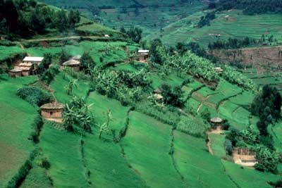 Land Logic Needed: Agri-Economist Urges Smarter Industrial Space Policy