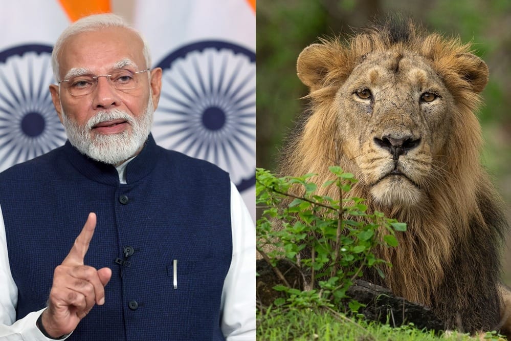 Roaring Commitment: India to Host International Big Cat Alliance HQ, Uniting 7 Majestic Species