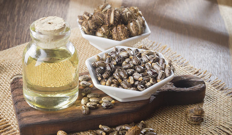 Thicker Hair, Softer Skin: The Real Benefits of Castor Oil