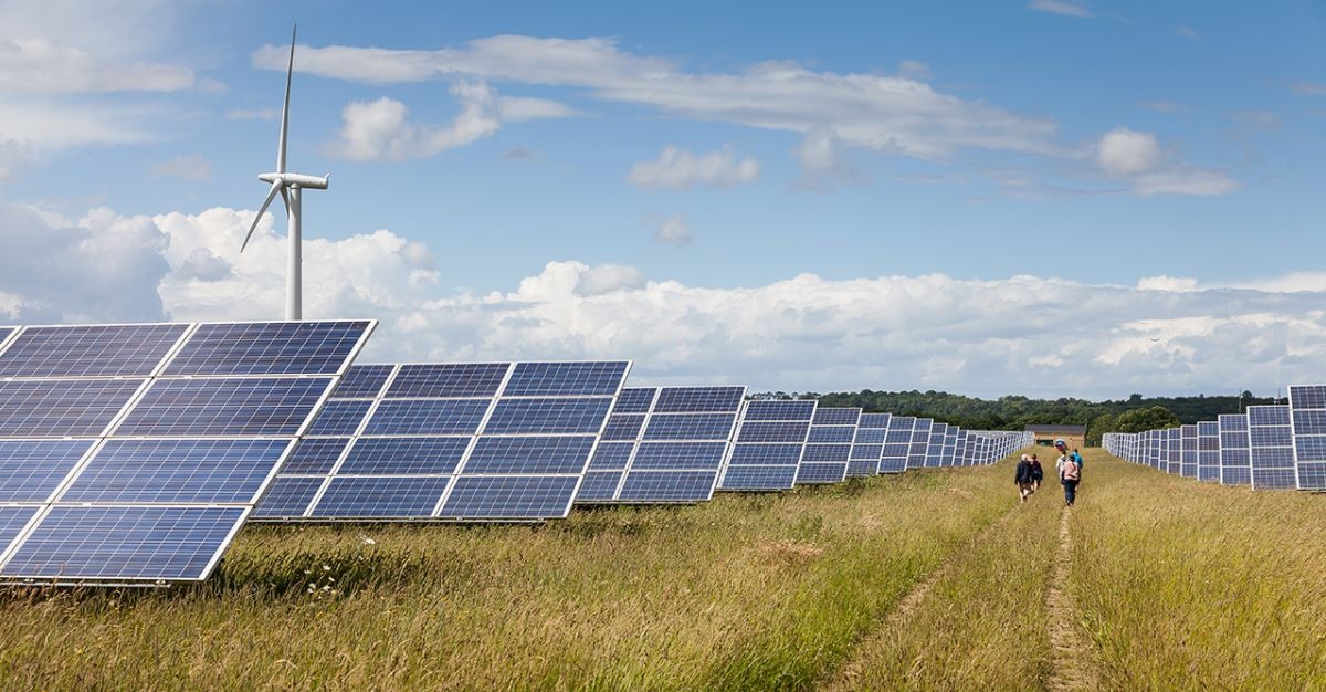 Australian Premium Solar Secures ₹332.9 Million Order, Boosting Renewable Energy Growth