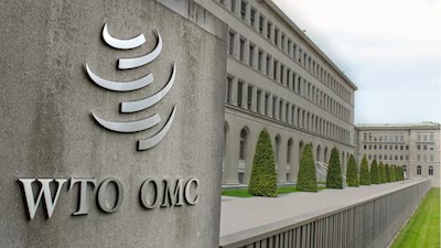 India Holds Its Ground as WTO Chief Pushes for Global Investment Pact – Will It Bend?