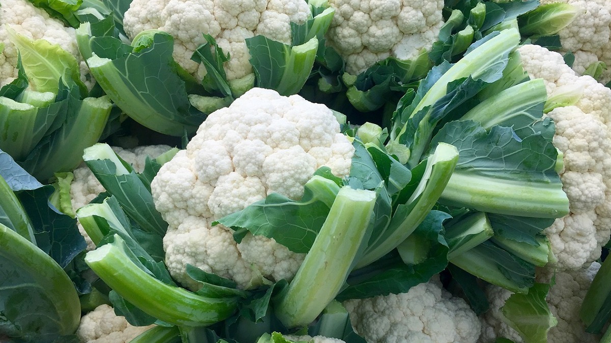 Innovation Amid Crisis: Farmers Find Creative Use for Cauliflowers Amid Price Drop"