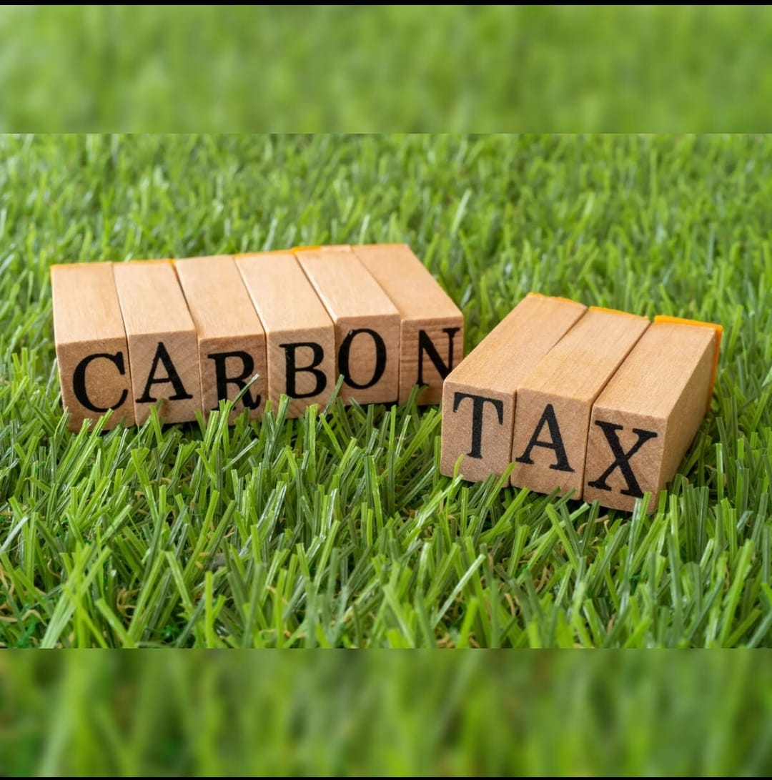 Sustainability vs Survival: India's Export Sector Faces EU's Carbon Challenge