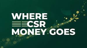 Companies Spend Crores on CSR-But Who Really Benefits?