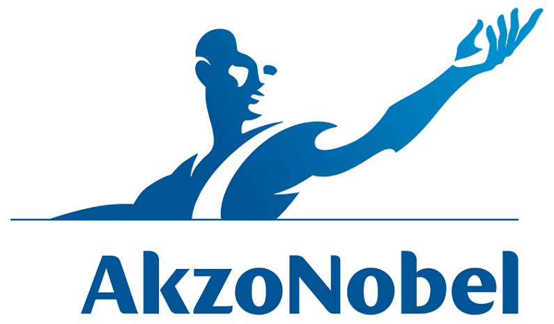 Akzo Nobel India Explores Strategic Options for Business Growth