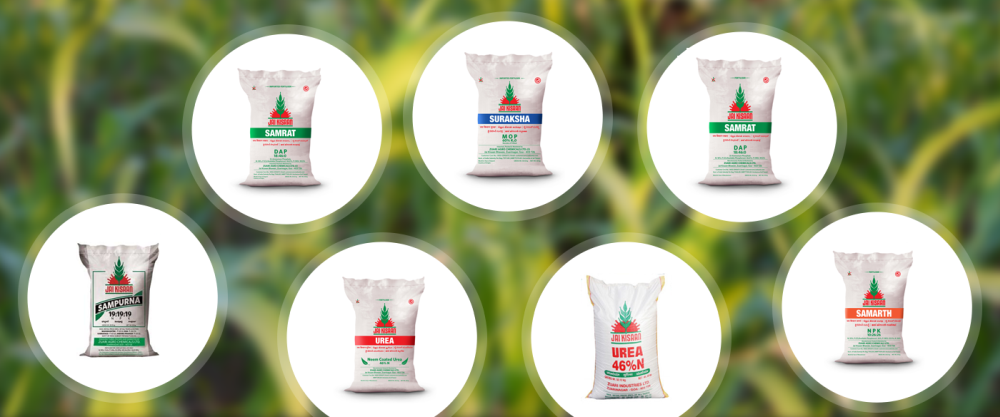 Zuari Agro Chemicals Q4 FY25 Results: Revenue at ₹9.52 Billion, Net Profit at ₹198.4 Million