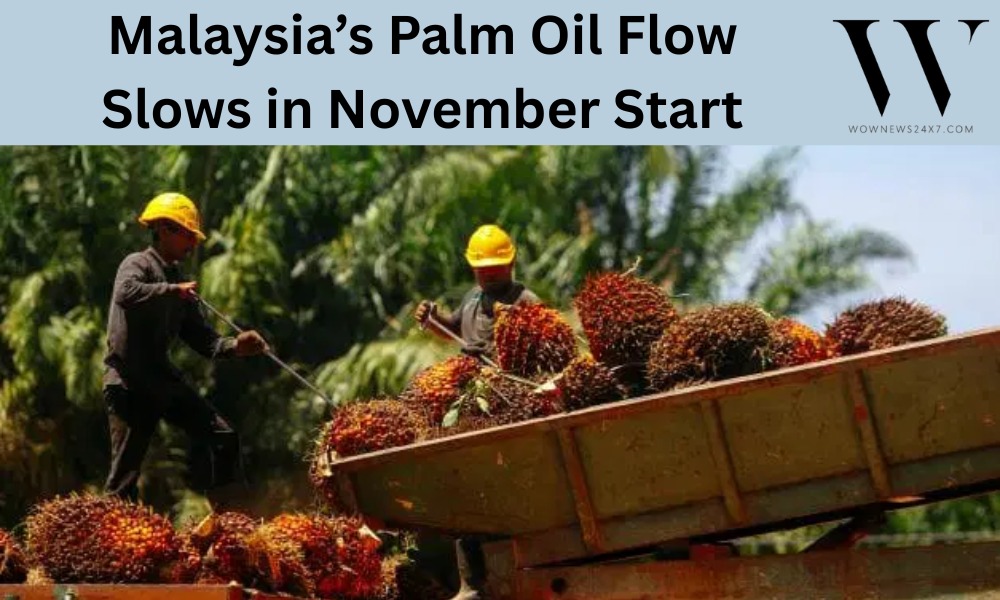 Malaysia’s Golden Oil Sees Early November Dip—What’s Behind the Slide?