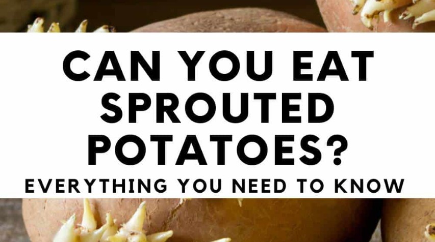 Don’t Eat That Sprouted Potato Until You Read This—Safety Tips Inside!