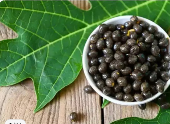 Papaya Seeds Uncovered: Seven Hidden Health Benefits