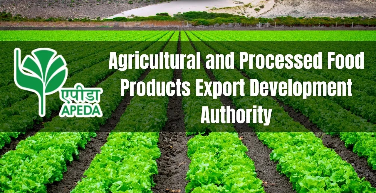 Unlocking Export Potential: APEDA's Market Intelligence Cell Takes Shape
