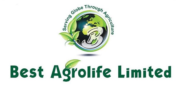 Best Agrolife’s Q1 Harvest: Profit Returns as Demand and Discipline Align