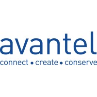 Avantel’s Rights Bonanza: 10 New Shares for Every 121 Held-Grab Yours at a Discounted ₹40!