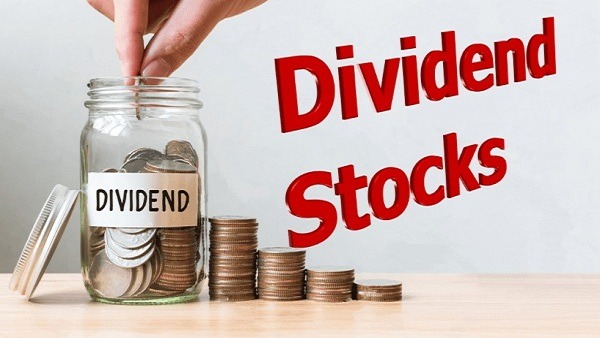 Dividend Windfall: JSW Energy, Cochin Shipyard, Page Industries Among Highest Payout Leaders