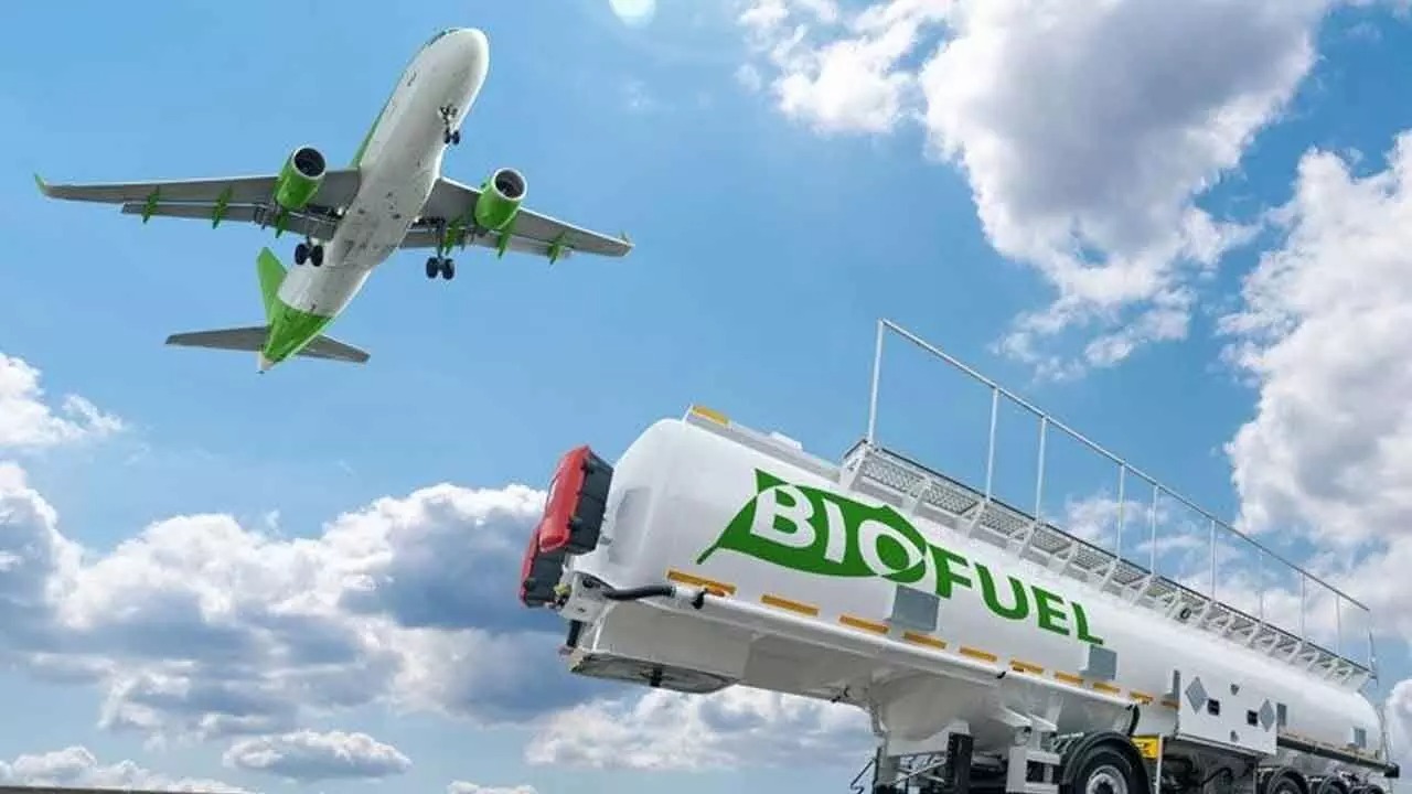 Eco-Friendly Aviation Gains Momentum As Industry Pushes For Sustainability