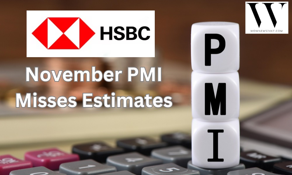 HSBC Flash PMI Shows Softer Expansion Across India's Manufacturing and Services