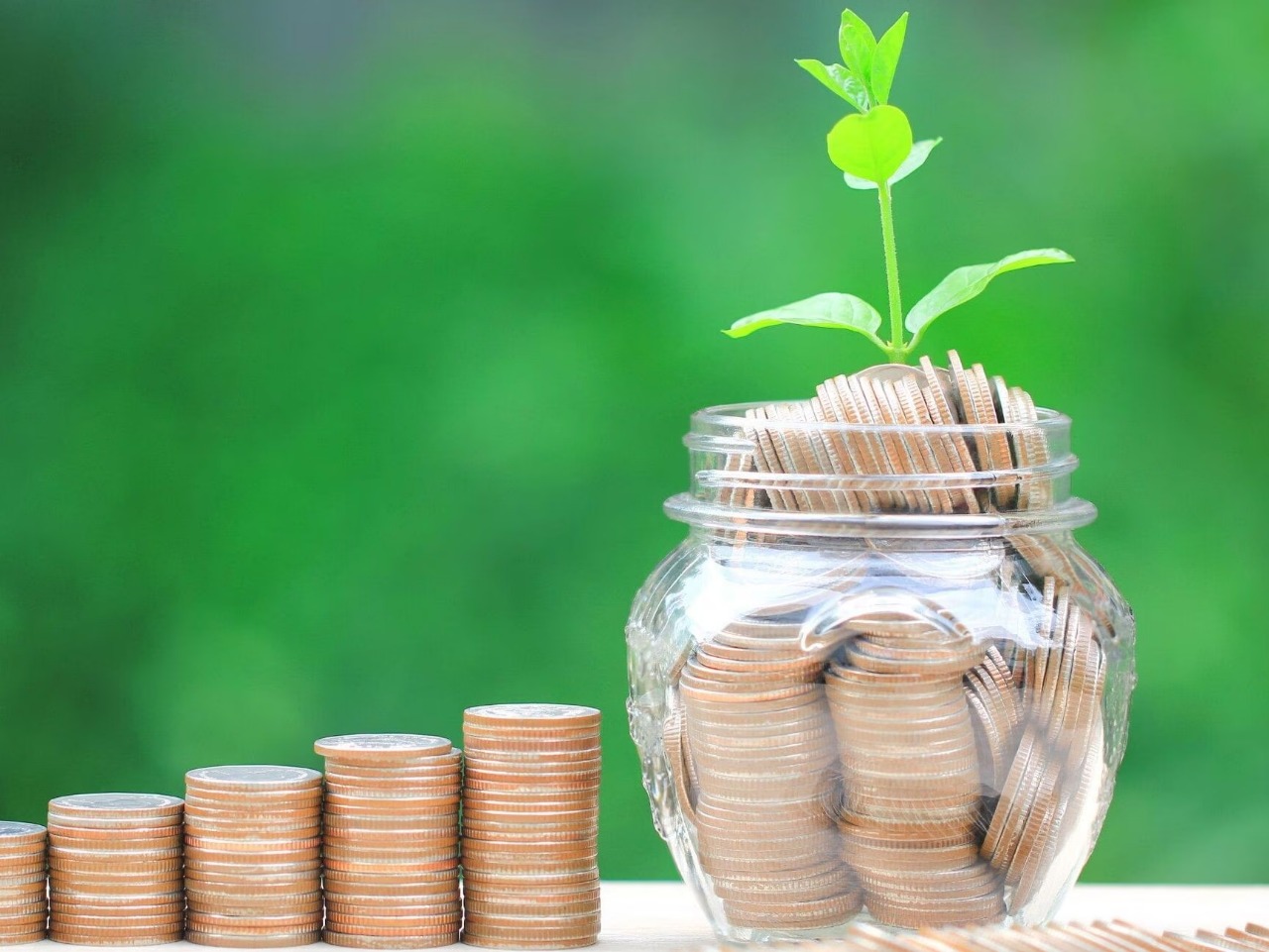 Reviewing Your Loan Statement: 5 Crucial Details Borrowers Must Not Miss