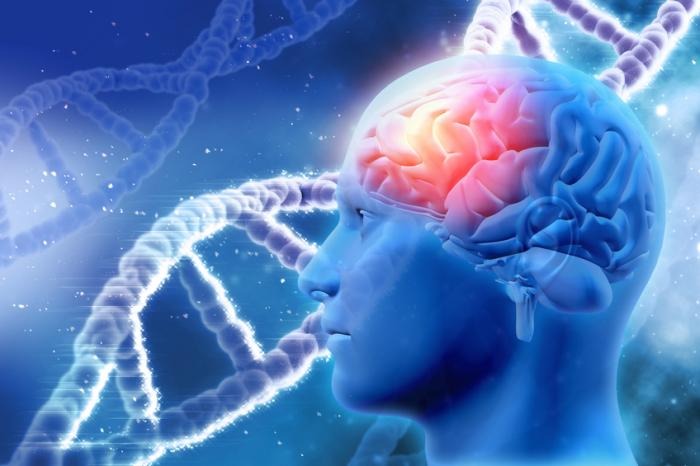 Mind Over Matter: How Calcium Keeps Your Brain Young and Sharp