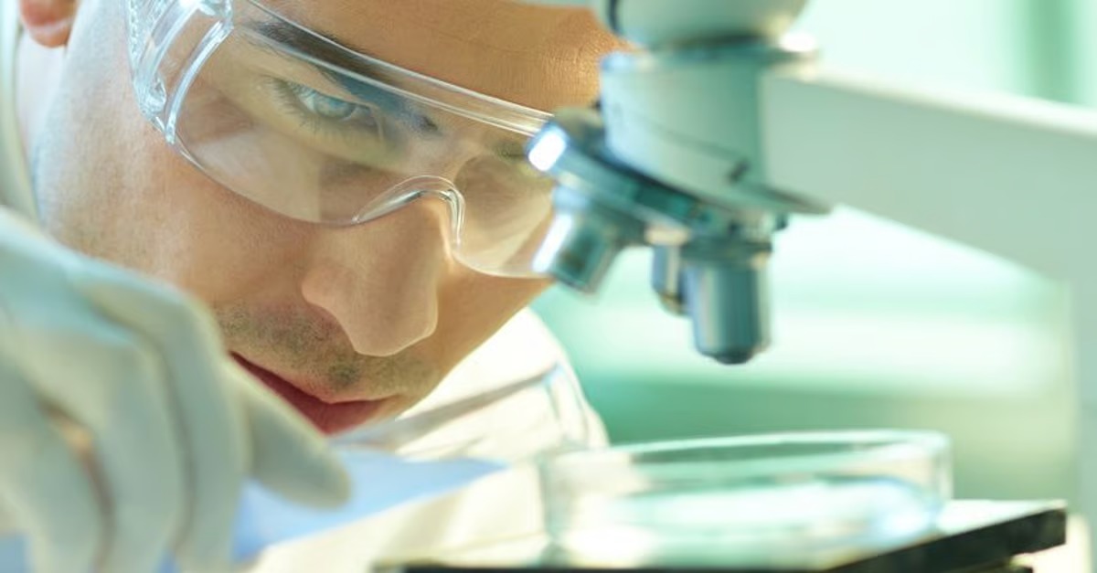 Continuity in Command: Medico Remedies Reappoints Harshit Mehta as Managing Director
