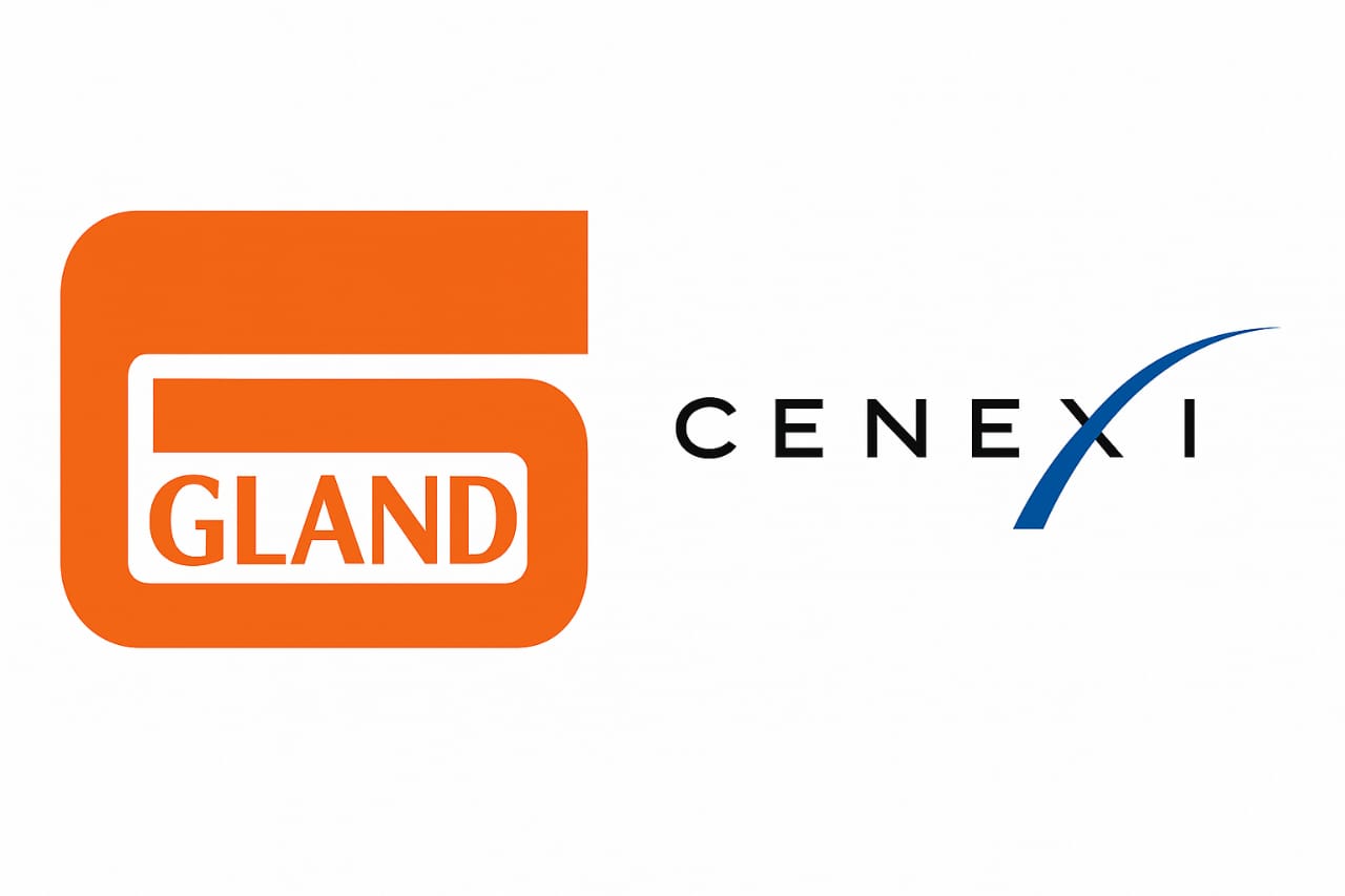Gland Pharma’s French Connection: Cenexi Facility Faces 11 ANSM Observations, But Production Keeps Pulsing