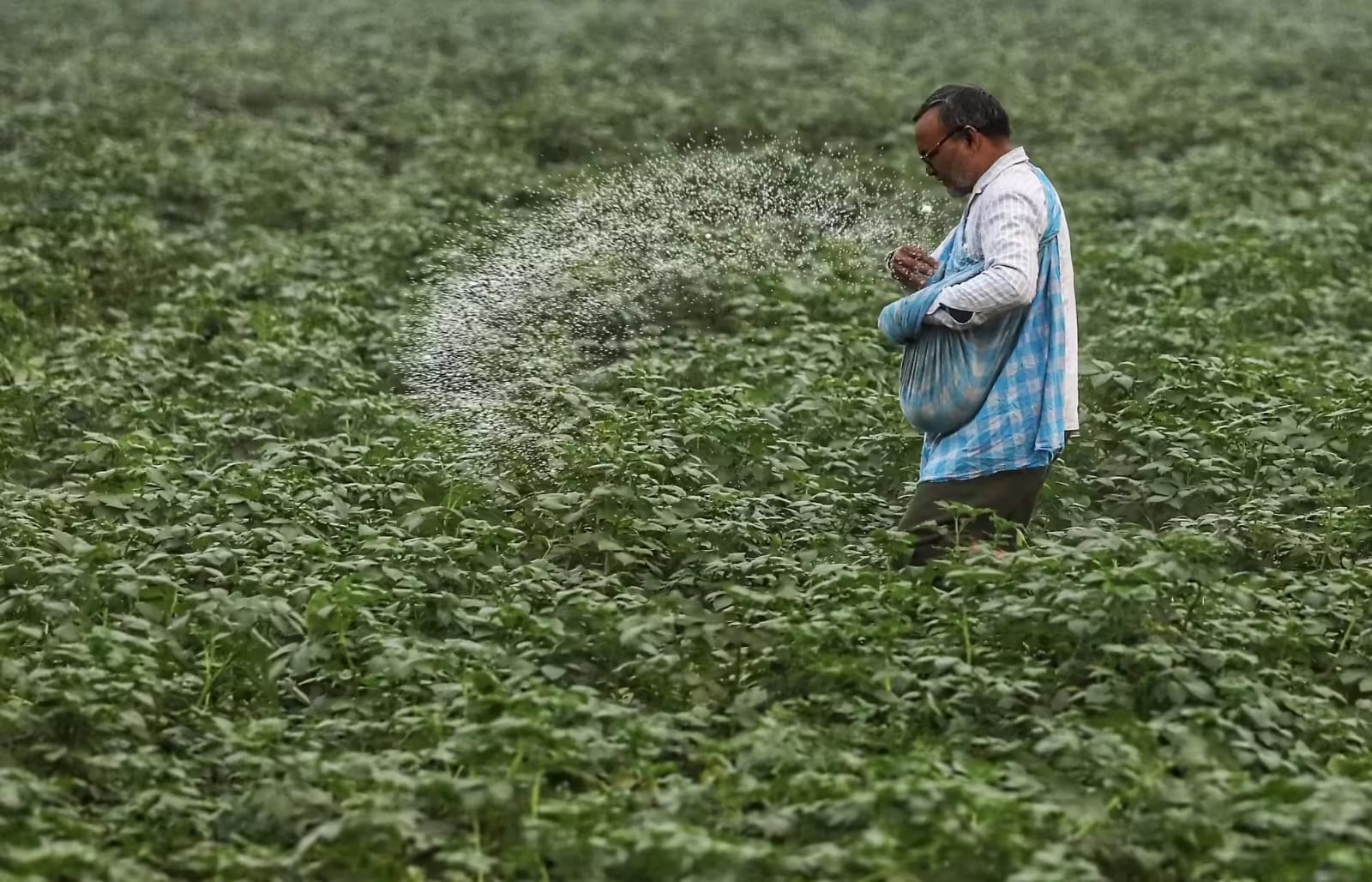 From Pipeline Panic to Spot Market Sprint: India’s Bold Urea Rescue Mission