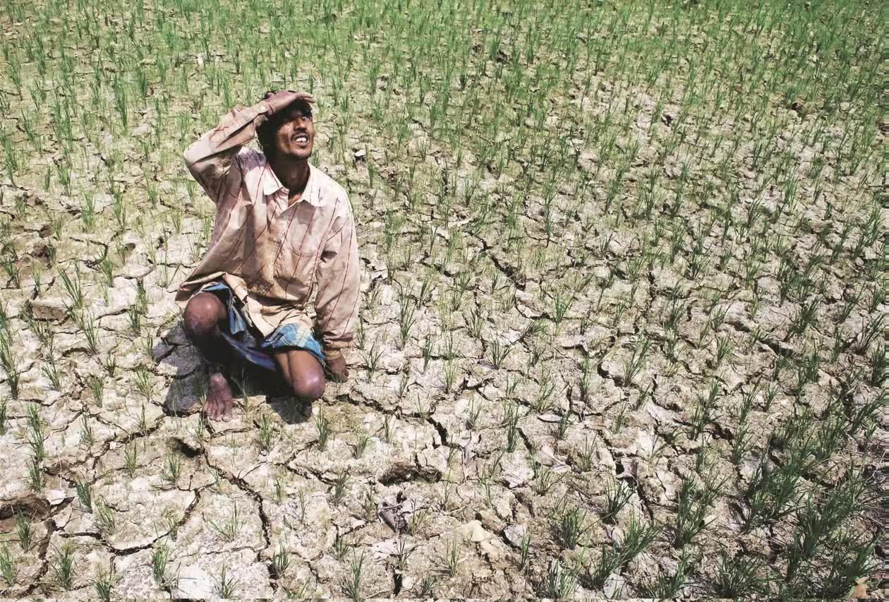 New India Assurance Sets the Barometer High with Climate-Smart Insurance Rollout