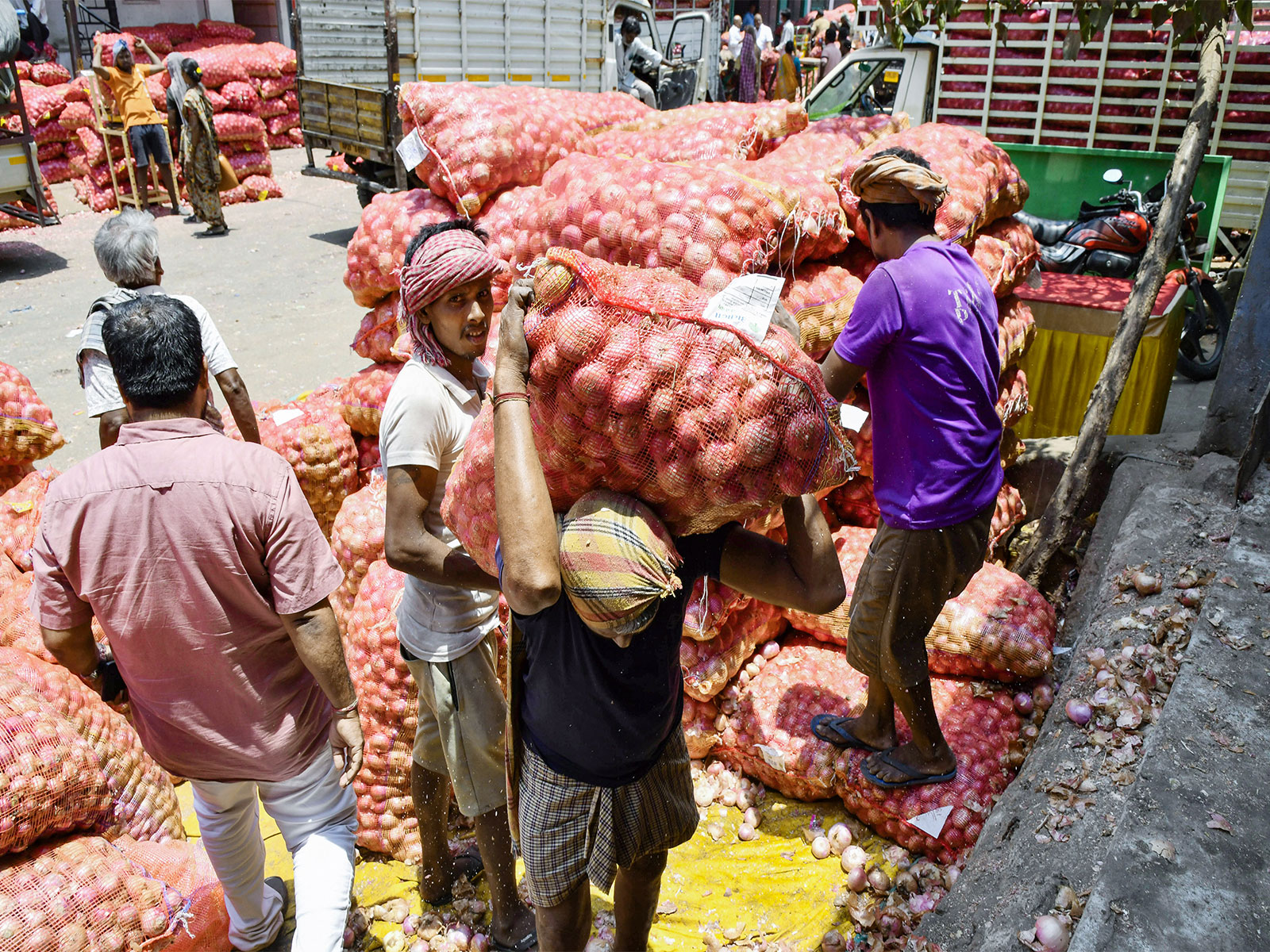 Centre to supply 1,000 MT onions to Delhi at ₹35/kg