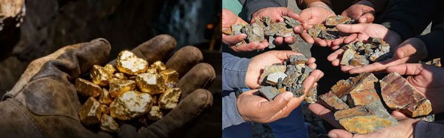 Gold and Lithium Unearthed in Karnataka Forests: Mining Faces Clearance Hurdle