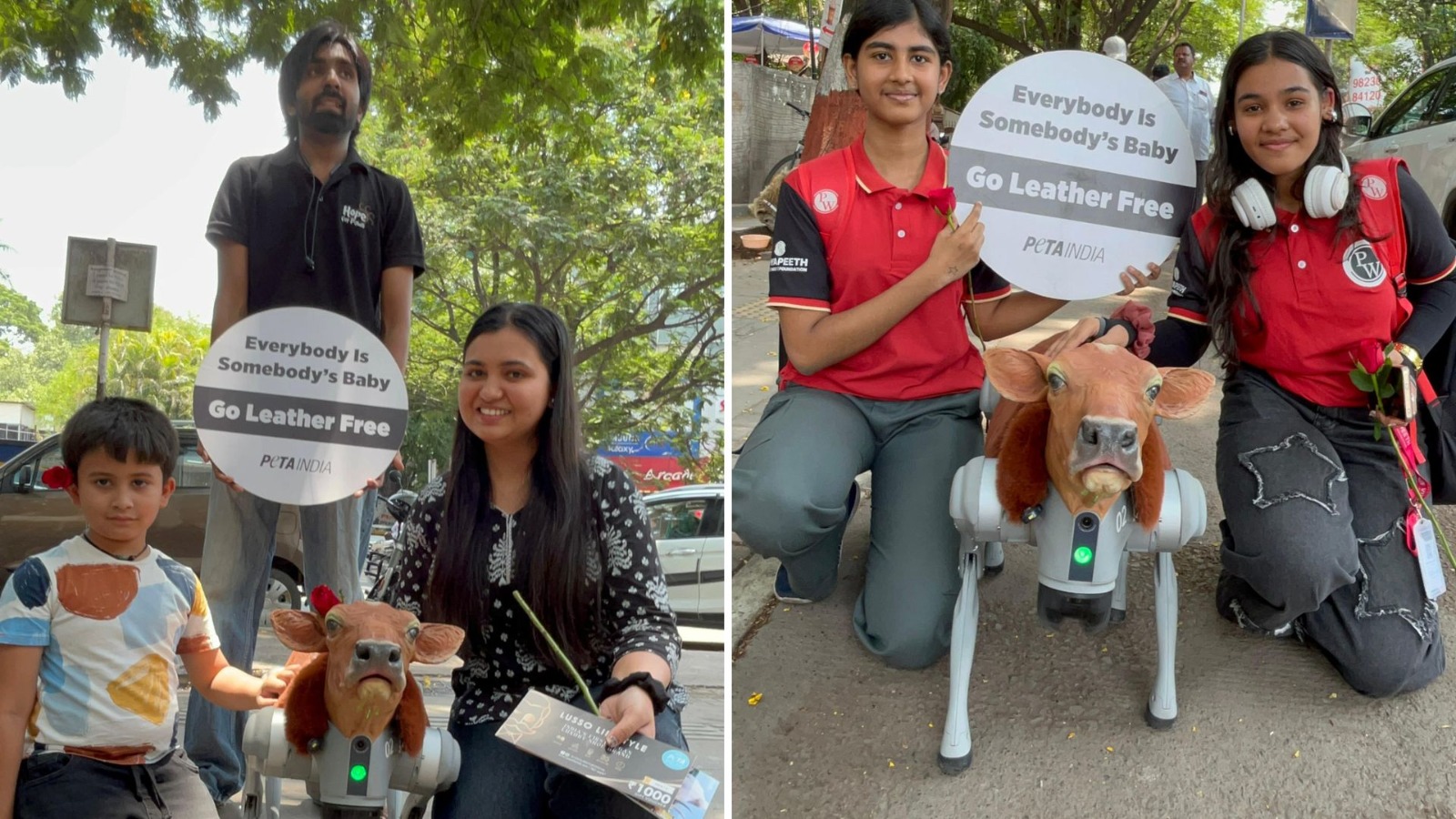 PETA’s AI Robot Calf Draws Crowds On FC Road