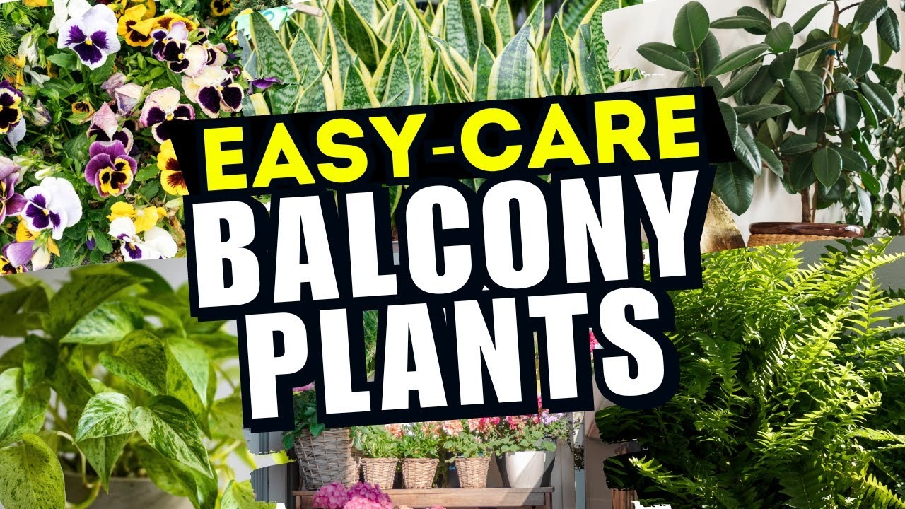 5 Low-Maintenance Flowers And Plants To Brighten Your Balcony This Spring