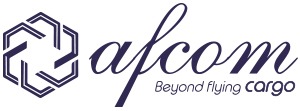 Afcom Holdings Secures DGCA Nod for Third Aircraft, Expanding Aviation Fleet