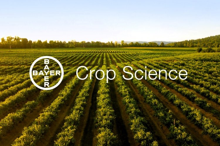 Bayer CropScience Q3 FY26 Results: Revenue ₹11.06 Bn, Net Profit ₹957 Mn
