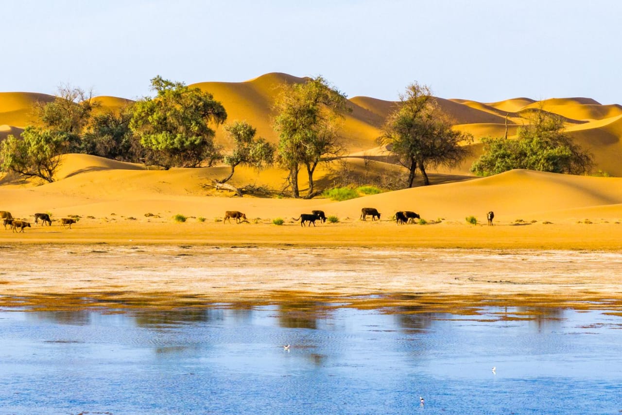 From Barometers to Billions: How Meteorologists Are Becoming Climate Finance Mavens