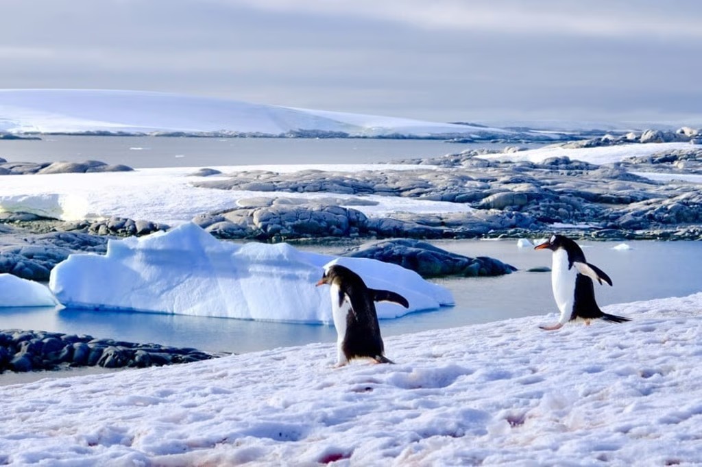 A Frozen Continent With Global Consequences: Why Antarctica Is Back In The Headlines